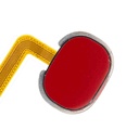 Lecteur d'empreintes digitales avec nappe compatible SAMSUNG A20 - A205 2019 - Rouge
